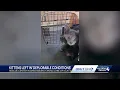 8 kittens stuffed in one carrier abandoned in Greensburg Pennsylvania