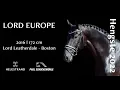 Lagu Lord Europe Stallion 2016