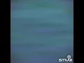 Download Lagu Kuberjanji Pada Bulan Pada Bintang...