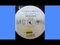 Stephen Marley ~ Master Blaster 12" ~