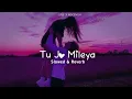 Download Lagu Tu Jo Mileya (Slowed + Reverb) : Juss X Mixsingh | New Punjabi Song 2024 | Jot Music