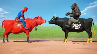 What If 8 Cow Spider Man Bros In Challenge SUPERHERO Story VS Gorilla All Animals Funny 