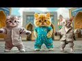 Download Lagu Kittens of different breeds dance | Cult of Kittens