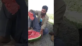 میم مرد هندوانه خور کلیپ طنز هندوانه خور میم فارسی میم طنز 