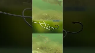 كيفية ربط صنارة الصيد بكل سهولة 