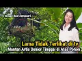Download Lagu TAK MASUK AKAL!! MANTAN ARTIS SENIOR BERSEMBUNYI DI RUMAH POHON DALAM HUTAN