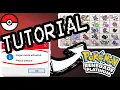 PKHeX Guide For Save Editing Tool