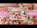 My Littlest Pet Shop Collection
