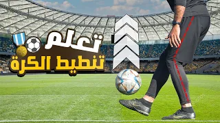                                                                                                      دندنها
