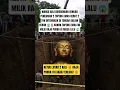 TOPENG EMAS BERAT 2 TON DI TENGAH KEBUN 😱‼️#shotsviral #trendingshorts #viralvideo #fypviral