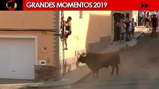 GRANDES MOMENTOS De 2019 Tercera Parte 