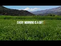 EVERY MORNING IS A GIFT | A Heartfelt Country Gospel Song of Gratitude & Faith
