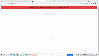 Angular 12 Material Multiple Selection with Dynamic Data