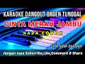 Download Lagu CINTA MERAH JAMBU KARAOKE NADA COWOK