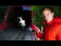 Is Goatman Actually Real Goatman s Bridge