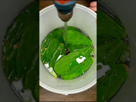 नींबू + सरसों का तेल… इसकी ताकत देखकर चौंक जाएंगे#MosquitoRepellent