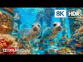 Lagu Unreal Underwater Creatures in 8K HDR | Dolby Vision™