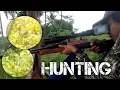 Download Lagu HUNTING BARENG INOVA POMPING ❗