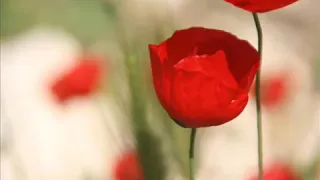 اسم الله اسم الله من العين والف اسم الله دندنها