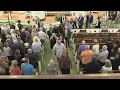 Memorial Service for George Thomas Madison