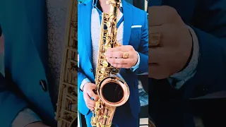 Алла Пугачева Миллион алых роз Aija Kukule Dāvāja Māriņa SAX Cover By OppositeMus 