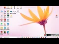 how to download animal jam classic in computer