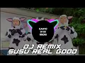 IKLAN SUSU REAL GOOD KEMASAN BARU | VERSI DJ REMIX
