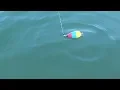 Download Lagu Seru Mancing Kalau Tepat Di Kumpulnya Ikan
