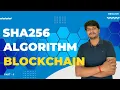 SHA256 hashing algorithm Part - 5 Blockchain Full Course Code Eater