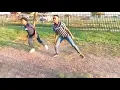 Felo Tee ft Daliwonga - Dipatje tsa Felo