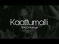 Kaattumalli -  Ilaiyaraaja, Ananya Bhat (TEN35 Mashup)