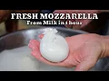 HOW TO MAKE FRESH MOZZARELLA REAL FROM SCRATCH | At Home Very Easy