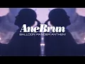 Ane Brun - Balloon Ranger Anthem (Official Video)