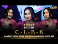 Download Lagu Diva Hani - CLBK ( Versi Asia Bimantara Musik ) Cinta Lama Bersemi Kembali
