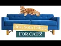 The Best Sofa Fabric For Cats Its probably one you heard of
