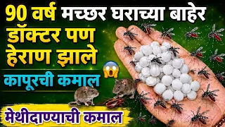 ना केमिकल न औषध 90 वर्षं मच्छर,पाल, कॉक्रोच,उंदीर घरात दिसणार नाहीत😱😱 puneri tadka video / recipe 