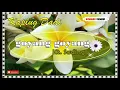 Download Lagu GOY4NG GOY4NG kaplug dadi Kt. Sading #lagubalilawas