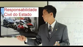 Responsabilidade Civil do Estado - Introdução - Aula 140 - Eduardo Tanaka - D Administrativo