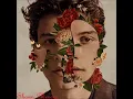 Shawn Mendes - Fallin' All In You