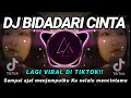 Download Lagu DJ BIDADARI CINTA (Sampai ajal menjemputku ku selalu mencintamu) REMIX SLOW TIKTOK VIRAL 2021