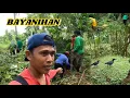 Download Lagu ANG BAIT NG ALAGANG UWAK 