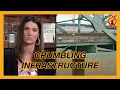 Krystal Ball Critical Bridge On Verge Of COLLAPSE As We Devolve Into Failed State