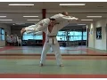 Download Lagu Judo Nage No Kata voor 1e Dan (zwarte band)