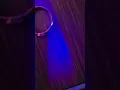 20251226 eill - フィナーレ。 (finale)