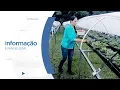 Download Lagu Agricultora investe em métodos sustentáveis para produção de morangos orgânicos