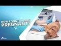 How Long Is A Dog Pregnant