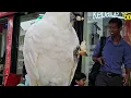 Download Lagu Gettin Cocky in C-town