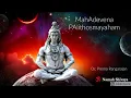 Lagu Mahadevena Palithosmayaham || Prema Rangarajan || Sri MuthuswAmi Dikshitar