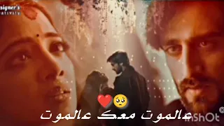 اجمل اللحظات بين تشيكي ياش على اغنيه عالموت معك عالموت عاشق انا تصميمي 