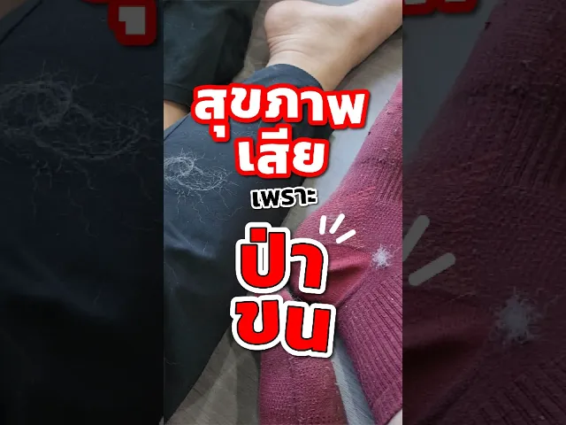 ขนมสุนัข (แพ็คคู่)